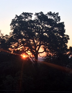 penultimatefullsizerender