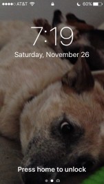 b1ab522a-1255-4439-9230-f0b48db23412