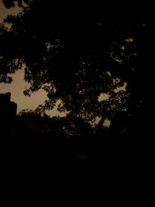 4CE1CFA3-2542-47E1-831B-56D2442D037B